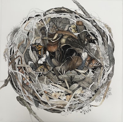 Julie Sutter-Blair