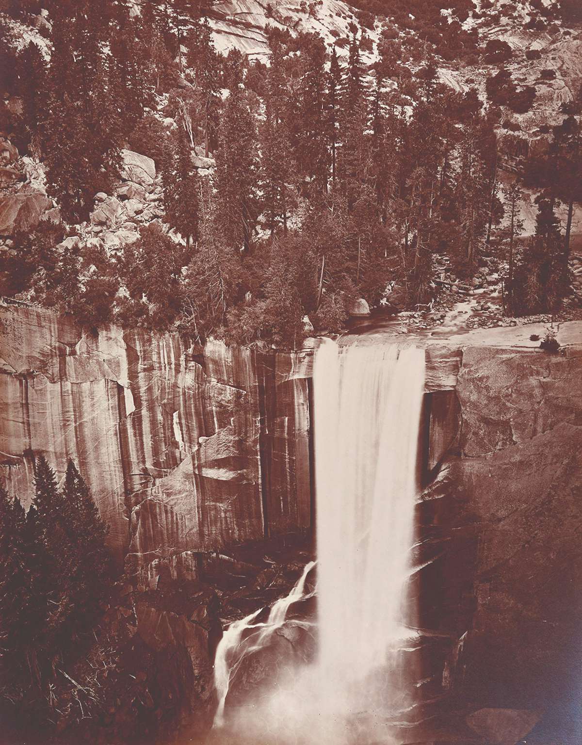 Milwaukee Art Museum | Photographing Nature’s Cathedrals: Carleton E ...