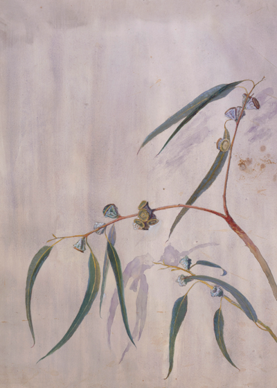 Photo from exhibition.